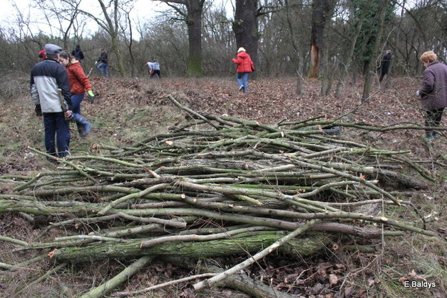 Posprzątali cmentarz ewangelicki (zdjęcia)