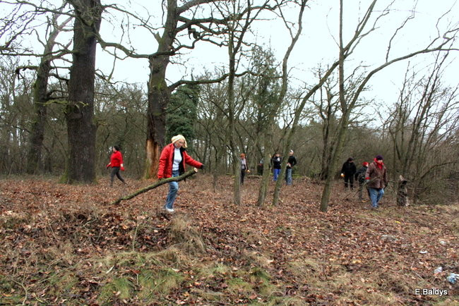 Posprzątali cmentarz ewangelicki (zdjęcia)