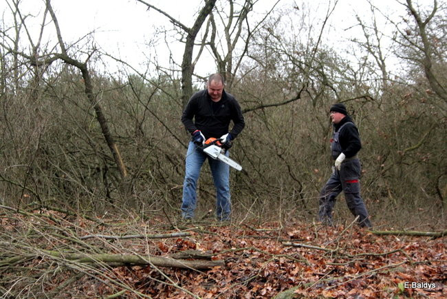 Posprzątali cmentarz ewangelicki (zdjęcia)