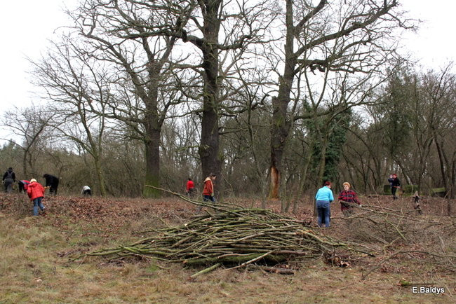 Posprzątali cmentarz ewangelicki (zdjęcia)