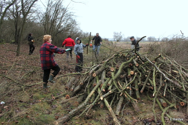 Posprzątali cmentarz ewangelicki (zdjęcia)