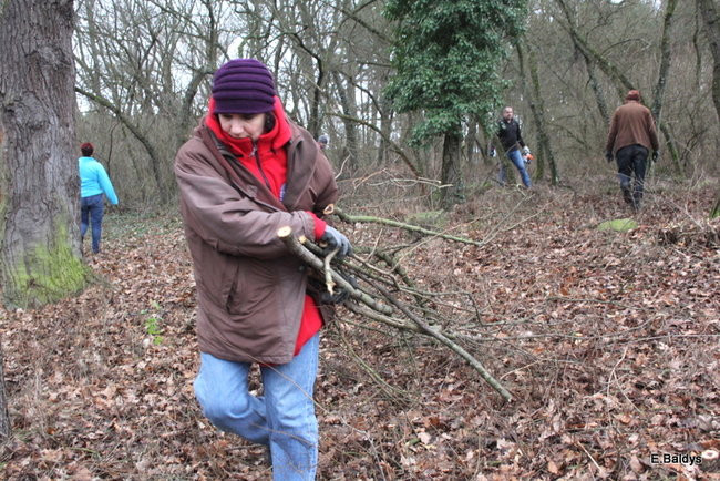Posprzątali cmentarz ewangelicki (zdjęcia)