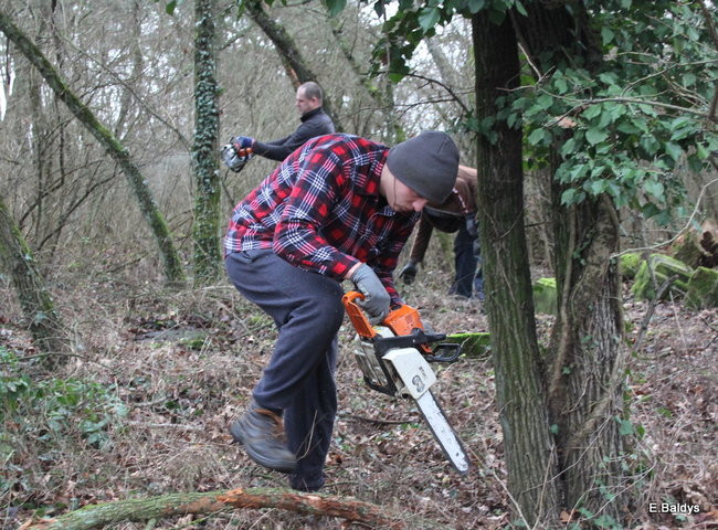 Posprzątali cmentarz ewangelicki (zdjęcia)