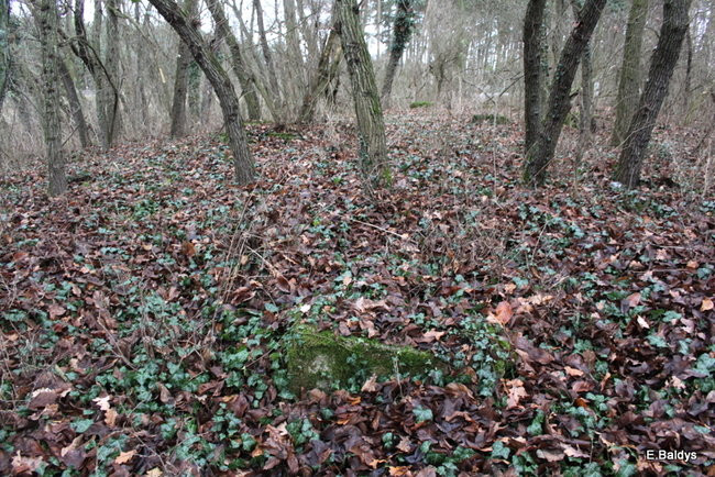 Posprzątali cmentarz ewangelicki (zdjęcia)