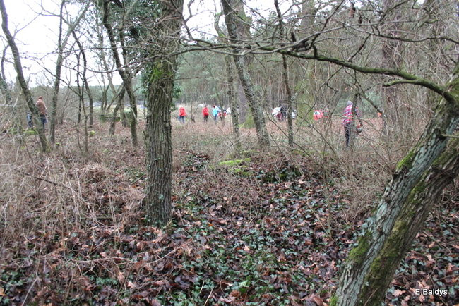 Posprzątali cmentarz ewangelicki (zdjęcia)