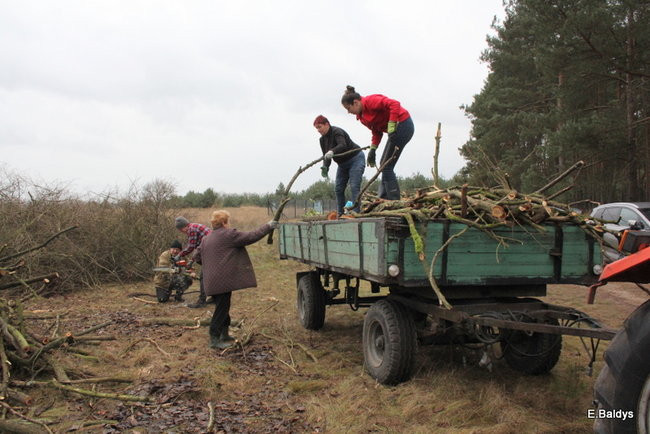 Posprzątali cmentarz ewangelicki (zdjęcia)