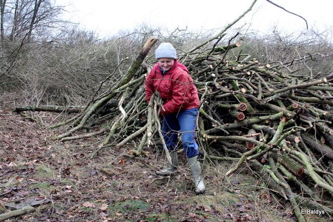Posprzątali cmentarz ewangelicki (zdjęcia)