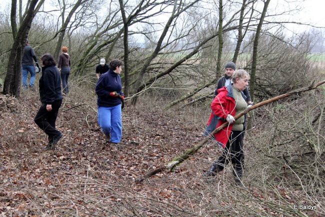 Posprzątali cmentarz ewangelicki (zdjęcia)