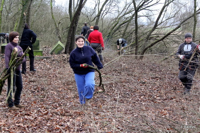 Posprzątali cmentarz ewangelicki (zdjęcia)