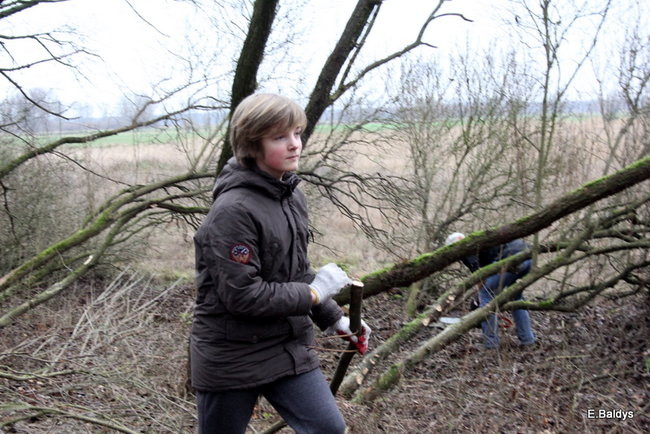 Posprzątali cmentarz ewangelicki (zdjęcia)