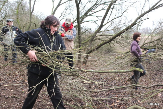 Posprzątali cmentarz ewangelicki (zdjęcia)