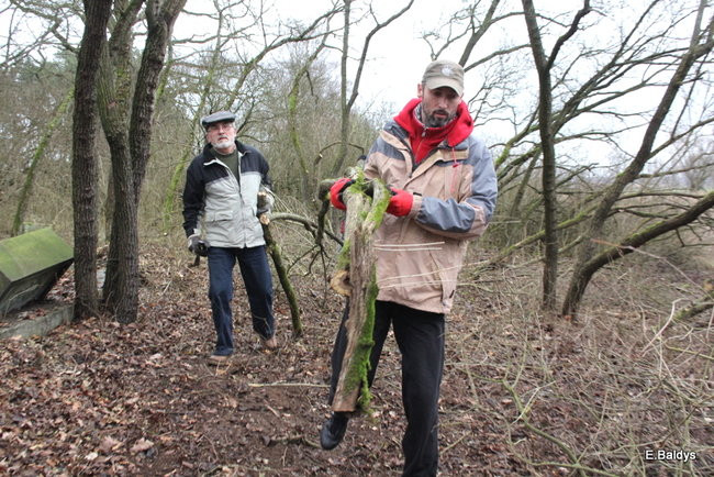 Posprzątali cmentarz ewangelicki (zdjęcia)