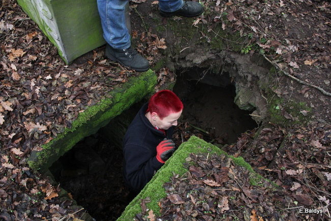 Posprzątali cmentarz ewangelicki (zdjęcia)