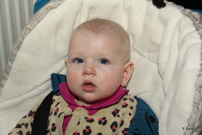 Spotkanie Wigilijne w PM 13 (zdjęcia)