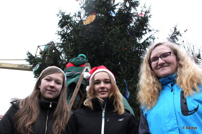 Choinka na rynku przybrana (zdjęcia)