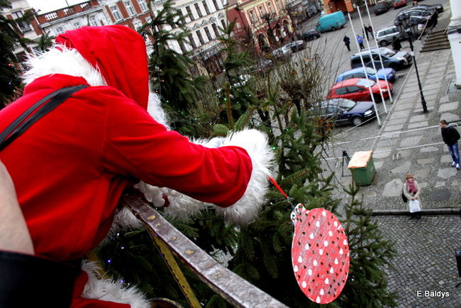 Choinka na rynku przybrana (zdjęcia)