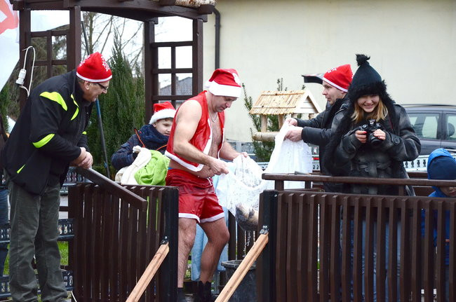 Wigilijny karp na obrusie w stawie (zdjęcia)