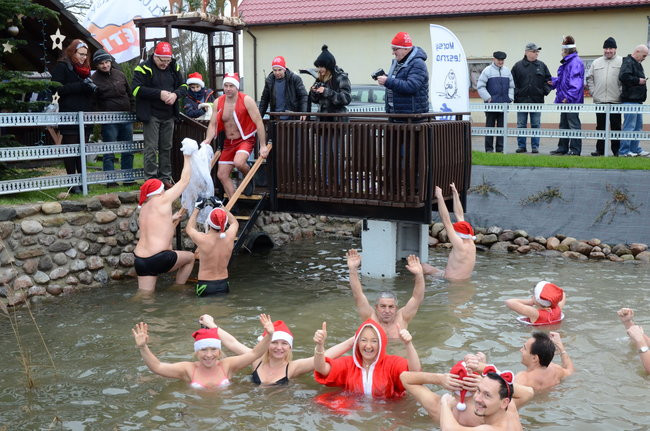 Wigilijny karp na obrusie w stawie (zdjęcia)