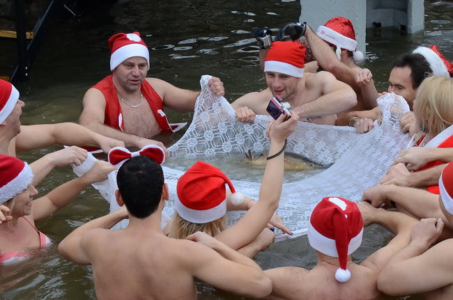 Wigilijny karp na obrusie w stawie (zdjęcia)