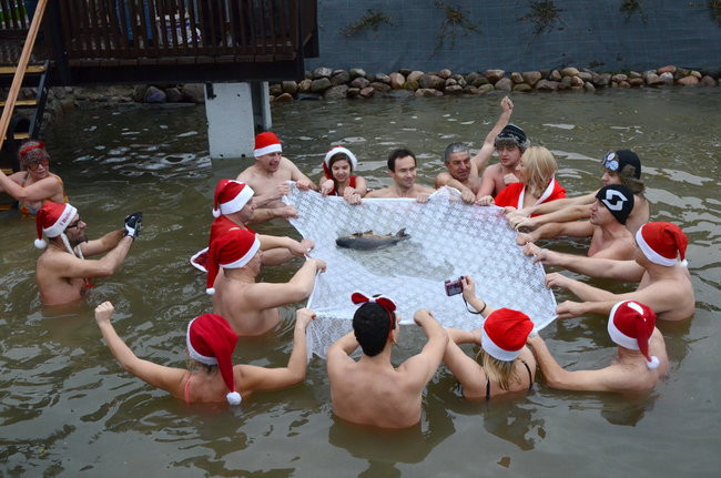 Wigilijny karp na obrusie w stawie (zdjęcia)