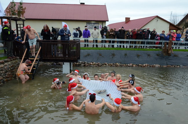 Wigilijny karp na obrusie w stawie (zdjęcia)