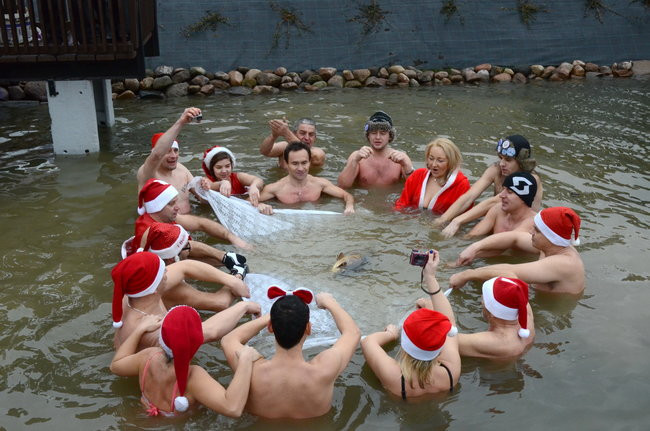 Wigilijny karp na obrusie w stawie (zdjęcia)