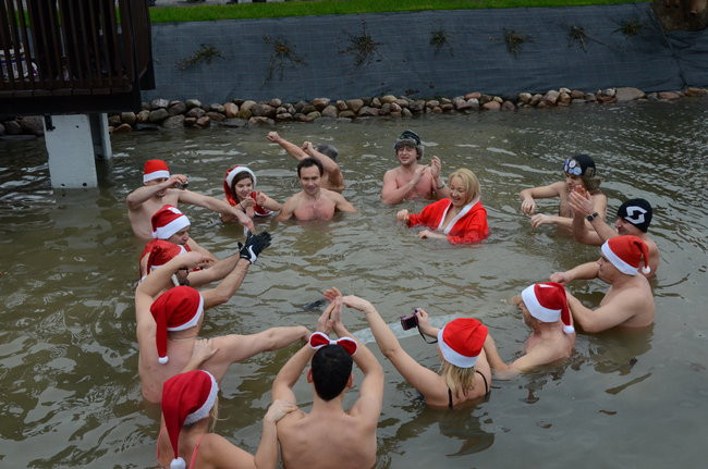 Wigilijny karp na obrusie w stawie (zdjęcia)