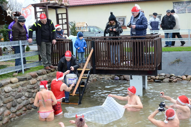 Wigilijny karp na obrusie w stawie (zdjęcia)