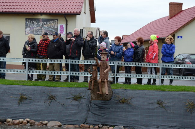 Wigilijny karp na obrusie w stawie (zdjęcia)