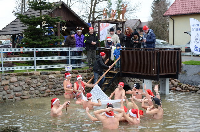 Wigilijny karp na obrusie w stawie (zdjęcia)