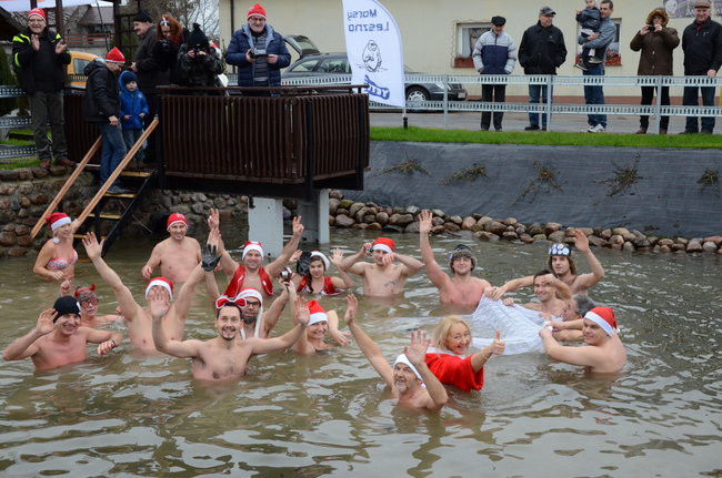 Wigilijny karp na obrusie w stawie (zdjęcia)