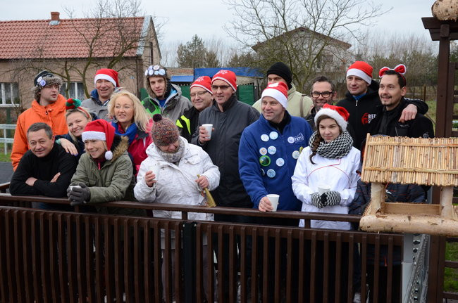 Wigilijny karp na obrusie w stawie (zdjęcia)