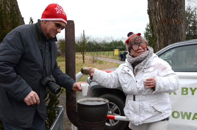 Wigilijny karp na obrusie w stawie (zdjęcia)