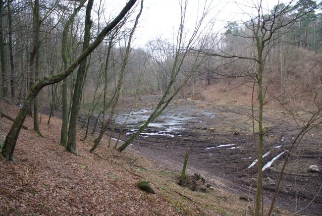 Aktywnie powitali Nowy Rok (zdjęcia)