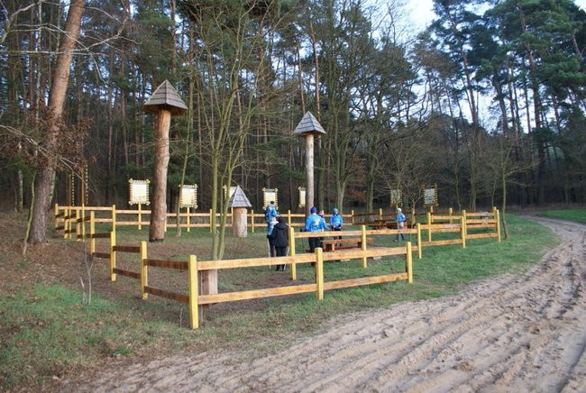 Aktywnie powitali Nowy Rok (zdjęcia)