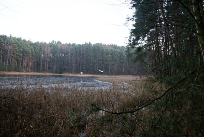 Aktywnie powitali Nowy Rok (zdjęcia)
