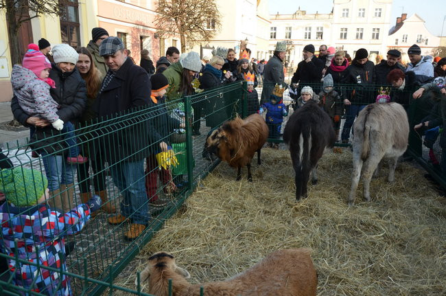 Trzej Królowie na zamku w Rydzynie (zdjęcia)