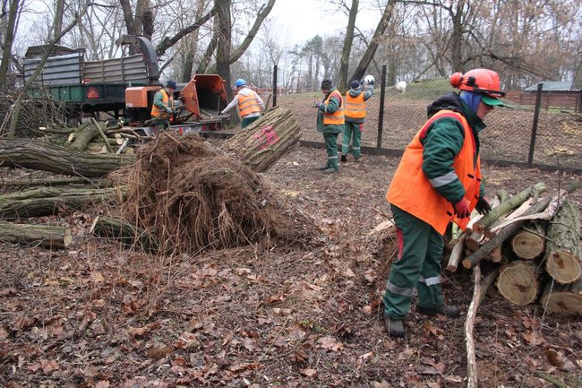 Park 1000-lecia zdemolowany (zdjęcia)
