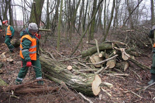 Park 1000-lecia zdemolowany (zdjęcia)