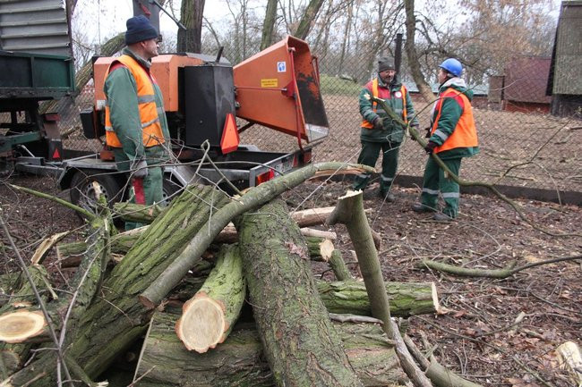 Park 1000-lecia zdemolowany (zdjęcia)