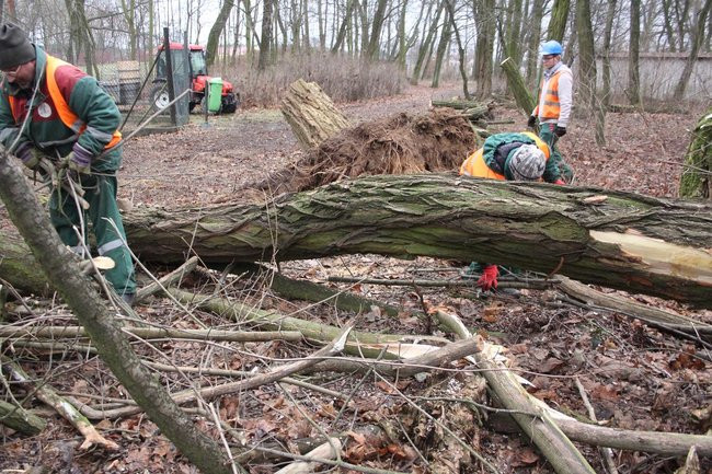 Park 1000-lecia zdemolowany (zdjęcia)