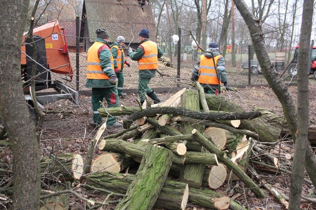 Park 1000-lecia zdemolowany (zdjęcia)