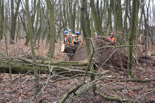 Park 1000-lecia zdemolowany (zdjęcia)