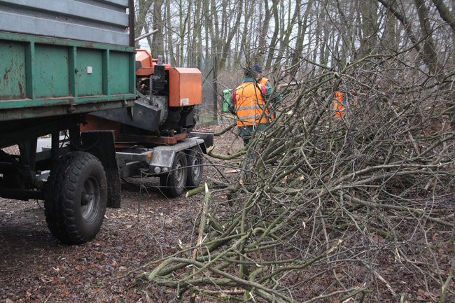Park 1000-lecia zdemolowany (zdjęcia)