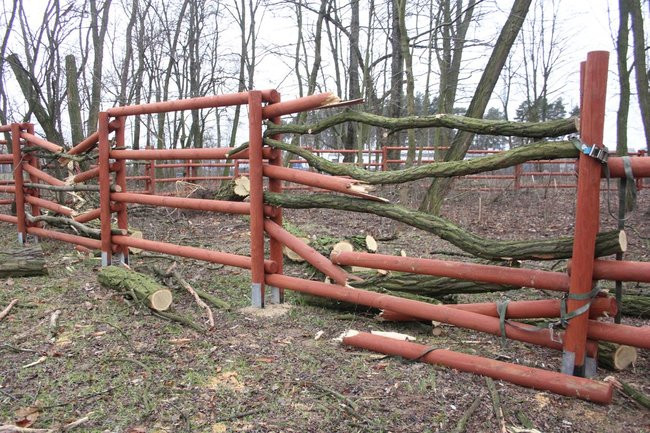 Park 1000-lecia zdemolowany (zdjęcia)