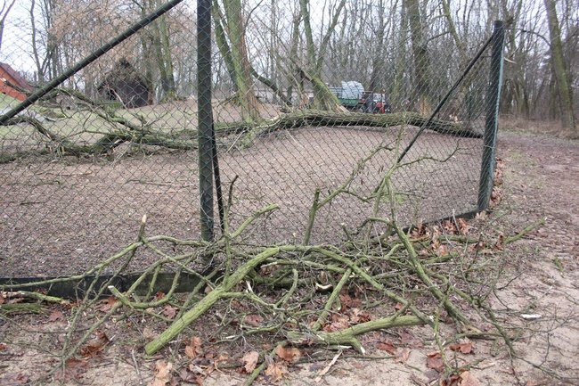 Park 1000-lecia zdemolowany (zdjęcia)