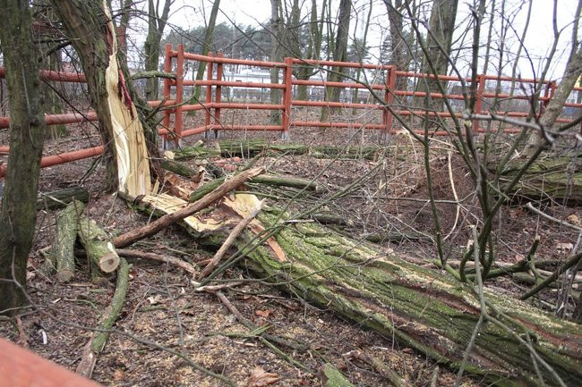 Park 1000-lecia zdemolowany (zdjęcia)