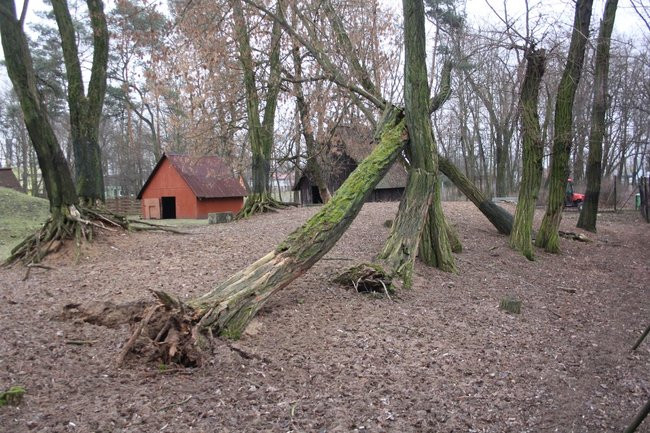 Park 1000-lecia zdemolowany (zdjęcia)