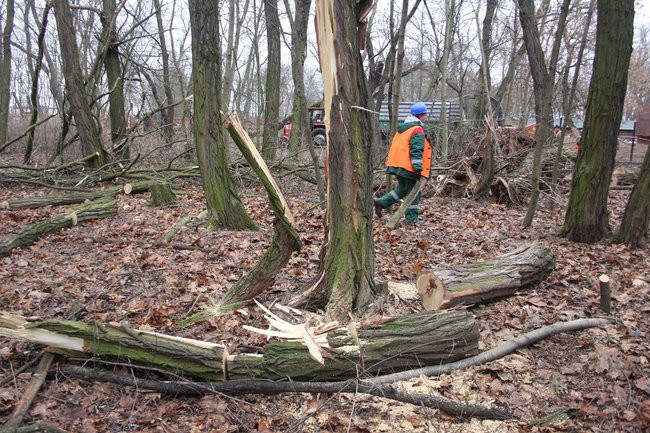 Park 1000-lecia zdemolowany (zdjęcia)