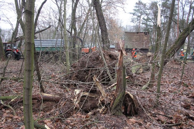 Park 1000-lecia zdemolowany (zdjęcia)